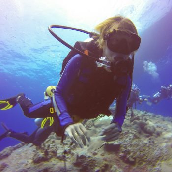 8 Dicas para melhorar sua respiração durante o mergulho - Água Rara