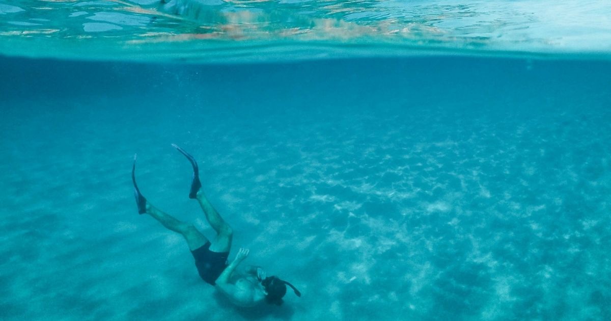 Saiba porque o Litoral Catarinense é escolhido para mergulhos esportivos - Água Rara